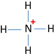 NH4+ lewis structure